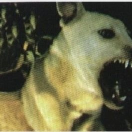 lnl12138's profile picture. only one