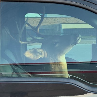 s1k_dadda's profile picture. 