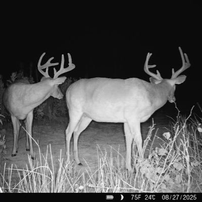 #stillmyAmericatoo Profile