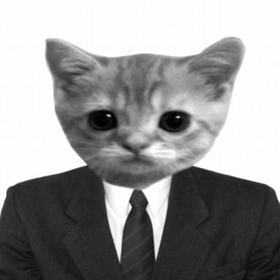 零lingさんのプロフィール画像