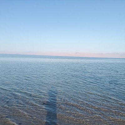 Nada664375's profile picture. 