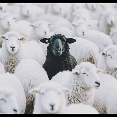 Passionate Web3 enthusiast
and book lover 📚
Diving deep into blockchain, crypto,