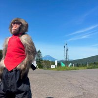 Johan (@johan_ndoye) 's Twitter Profile