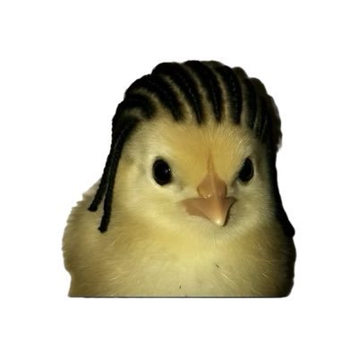 LlanoRicky52846's profile picture. 