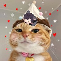 LLindaZ (@linpsw) 's Twitter Profile