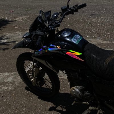 Angel3511494119's profile picture. 