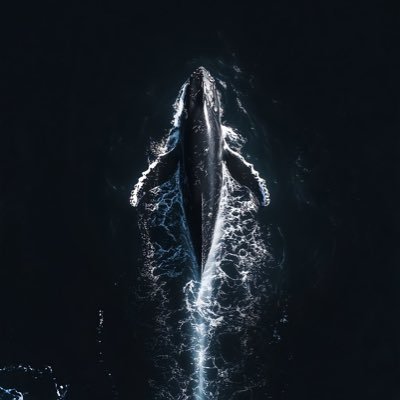 DudMeister0007's profile picture. 