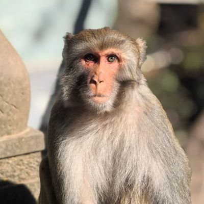 aochenwei's profile picture. All in or nothing
YOLO！