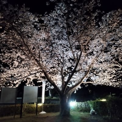 kostoko0313555's profile picture. 基本的にはフォロバします
基本的にゲームのことをあげてくつもりです
よろしくお願いします！