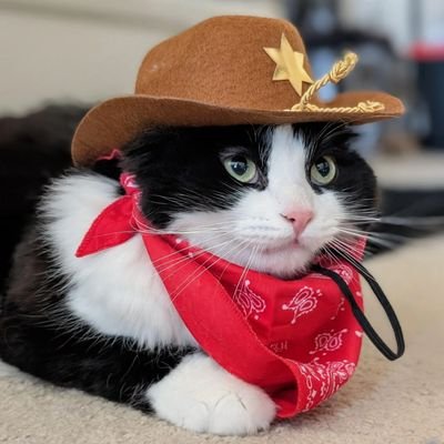 meatball1313956's profile picture. 22. they/them. michigan. i take photos.