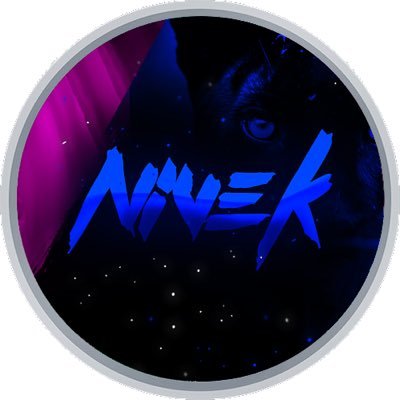 Nivekplayzz's profile picture. 
