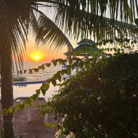 Peter (@patriotmefl) 's Twitter Profile Photo