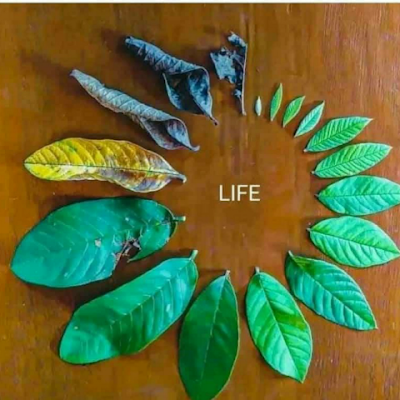 SSwaibu75's profile picture. 