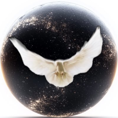 hesipullfade's profile picture. 🫨🏀☄️🌫️💹 New account. Not financial advice