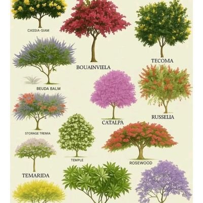 adamjam00333497's profile picture. 