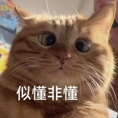 変態。ABDL。ハーフ。日本語⚪︎ 中文⚪︎ English⚪︎ もっと同じ趣味の人とつながりたい。有主人了。傻傻的贱狗。希望能在推特做自己,找到更多同好。欢迎随时私信给我看大鸡巴,还有大鸡巴边尿尿边骂小秋的视频(其实小唧唧更好,让我被锁着一对比更有羞耻感)不发照片。