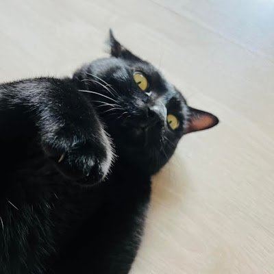 Pimkhwanrakmiew's profile picture. BUS & GEE