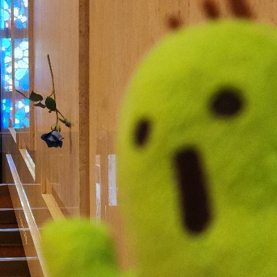 【成人済】断捨離を通して自分自身を見つめ直し中|興味あり:皇室 / ミニマリスト / シンプリスト など|当方の皇位継承の見解は固定を参照|無言フォロー失礼いたします🙇|
⚠ 不快と感じたアカウントやスパム等はブロックとミュートの対象。
