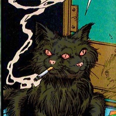 heavyoncunt's profile picture. 