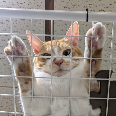 まーさん (@maaasan0809) / Posts / X