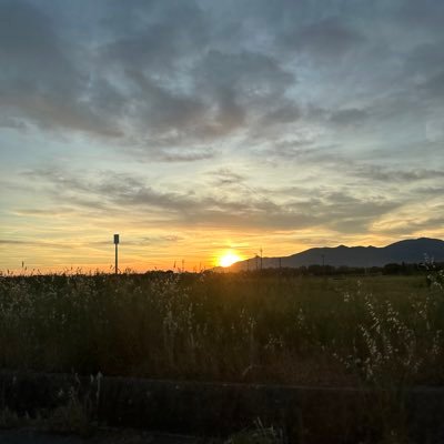 ujjwalsachdeva_'s profile picture. Software Developer