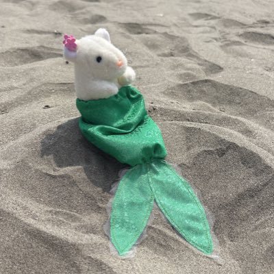 nezumisaikoo's profile picture. お犬が大好き バットマンになりたい 職業:マイクラ職人