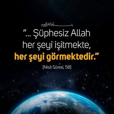 mc0338111's profile picture. 