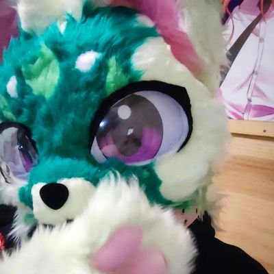 MianyCat's profile picture. 29 | 🏳️‍🌈 | Kemono cat 😺 | Meowscarada & Floragato hybrid | Chile 🇨🇱 | Taken 💙❤️🖤