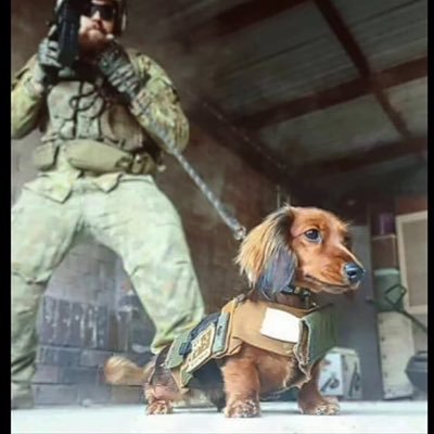 kelly952028's profile picture. 