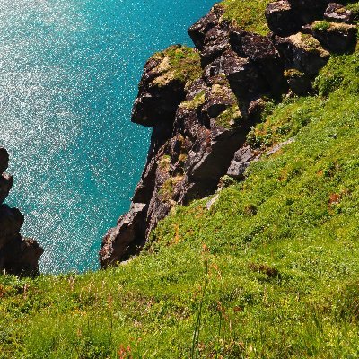 jyjtl75623153's profile picture. High School Teacher | Columbia MA | Christian | Love books & educating minds 
#Education #Reading #TeacherLife