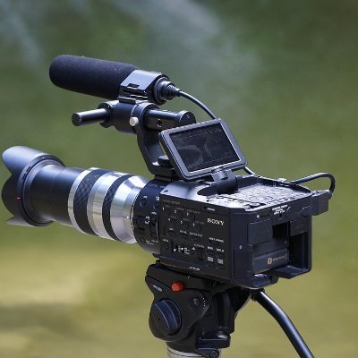 Kingsman402's profile picture. charismatic