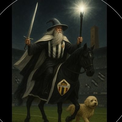 Mago del Albinegrismo ⚪⚫ | Defensor de Castalia | Azote de orcos amarillos 🟡 | En la misión de llevar al CD Castellón a la Tierra Media…