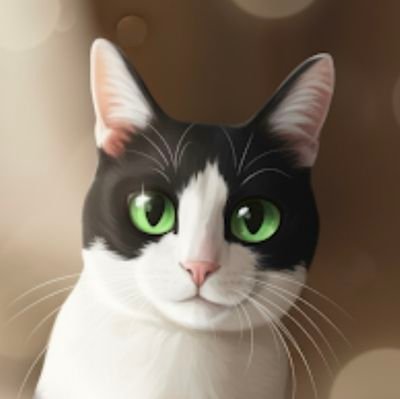 Rikushiro0707's profile picture. 