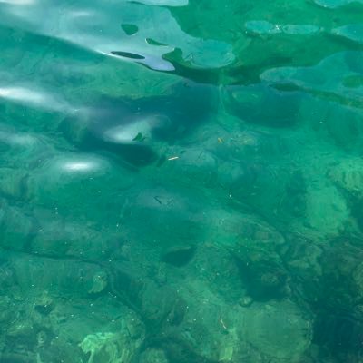 Hn2637558471459's profile picture. 