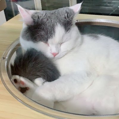 YuB312's profile picture. 