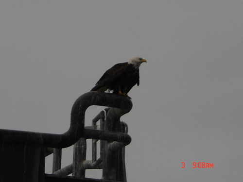 FOOTBALL151's profile picture. 