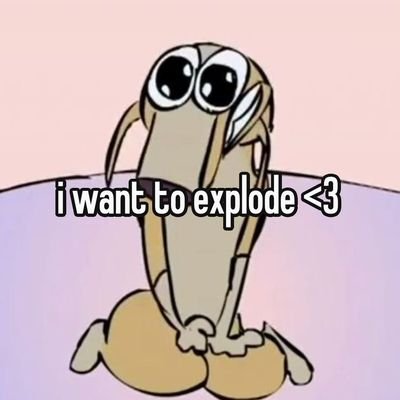 kittykacc's profile picture. just a girl