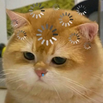 sweetgyuu_'s profile picture. Seriously?