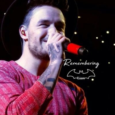 Viendo el atardecer con Liam 🕊️y Zayn
Jugando basketball con Niall 🏀🇨🇮
Here's to the future