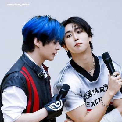 Stay | Han + Lee Know + Minsung = cart 🩷💚 #straykids BNS (mostly buying)