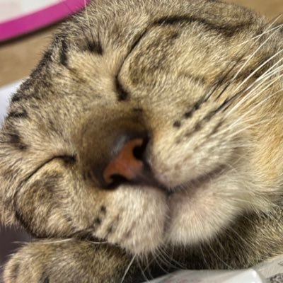 HannaBaeh's profile picture. CHRA Batch 55 ✨ RPm ‘25 , RGO Crash Course bb 💜