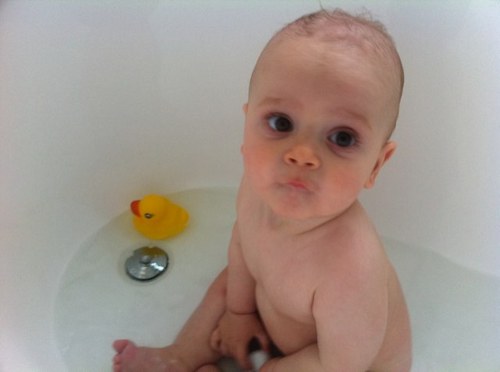 livboston's profile picture. 