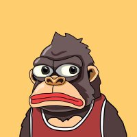 $KONGX (@kongxsol) 's Twitter Profile