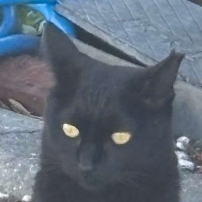 RiSanDays's profile picture. 人生の岐路。クエストに昔いた人。京都にある大学にいた人。