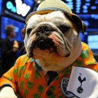 Robin Nisam (@vladaofengland) 's Twitter Profile Photo Robin Nisam (@vladaofengland) 's Twitter Profile Photo