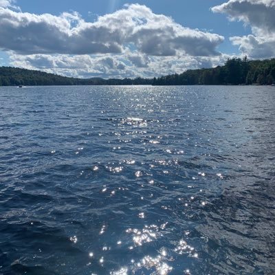 Spidermanpp101's profile picture. 