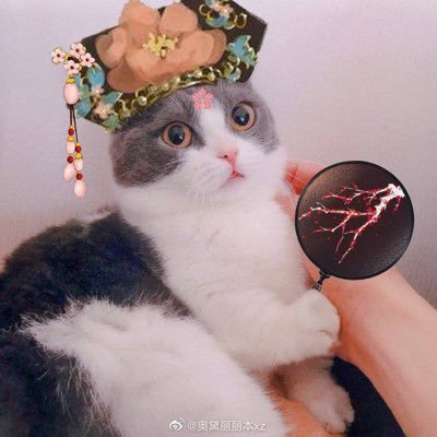 āđāļĄāļāļŦāļĨāļąāļ āļāđāļāļāđāļēāļðâĪïļ | āļĄāļąāļĄāļŦāļĄāļĩāļāļāļāļāđāļ āļđāļ§āļīāļāļāļĢāđ ðŧðž | āļŦāļĄāđāļēāļĄāđāļē2Xuan ðĶð°|āđāļāļ sky nani āļāļ : āļŠāļēāļ§āļ§āļēāļĒāļĄāļ·āļāļāļēāļāļĩāļð ; āļŠāļļāļāļāļīāļĒāļĄ āļāļīāļāđāļĢāļ·āđāļāļĒāđāđāļāļ·āđāļāļĒāđ āđāļĄāđāļĄāļĩāļāļīāļĐāļ āļąāļĒāļāļąāļ ðŦķðŧ