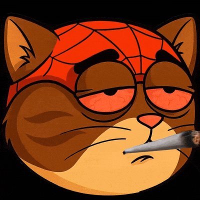 The cat got tangled in server cables — and instead of becoming a hero, he went down the slippery slope. 🕶