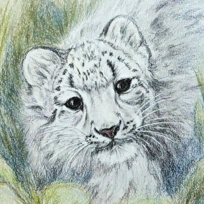 I love animals. And I paint animals! 😊🐆🐈🐎🐅🐕🦁