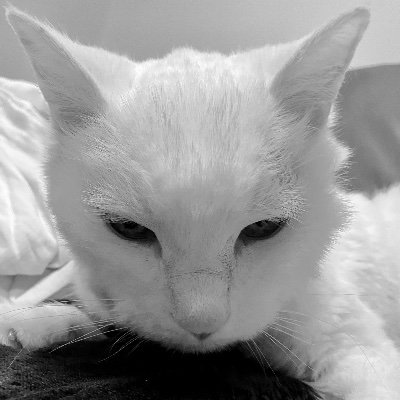  Pericles' Tripod Profile